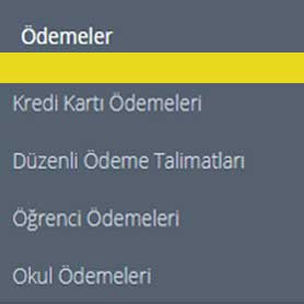spor okulu online odeme